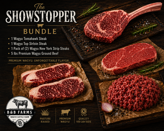 Showstopper Bundle